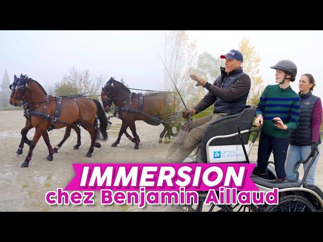 TRYING FEI DRIVING WITH 4 HORSES  #equestrian