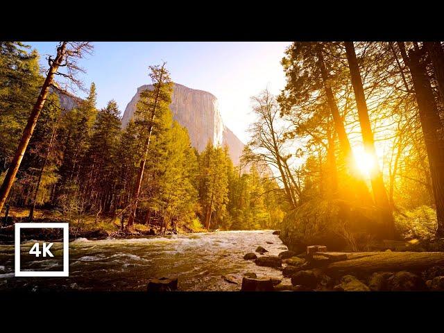 4K Merced River Sunset, Yosemite | Gentle River Sounds for Sleep & Relax | Natural White Noise