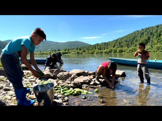 Life in Wild Taiga without roads and communication. Far From Civilization In Russia