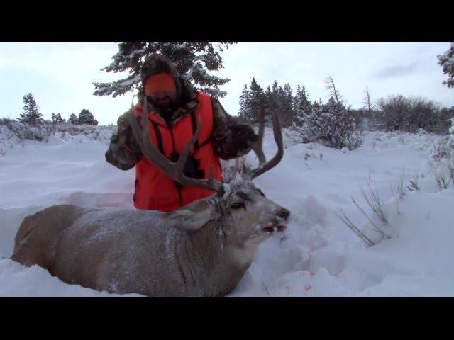 Giant 200" Colorado Mule Deer - Extreme Outer Limits TV