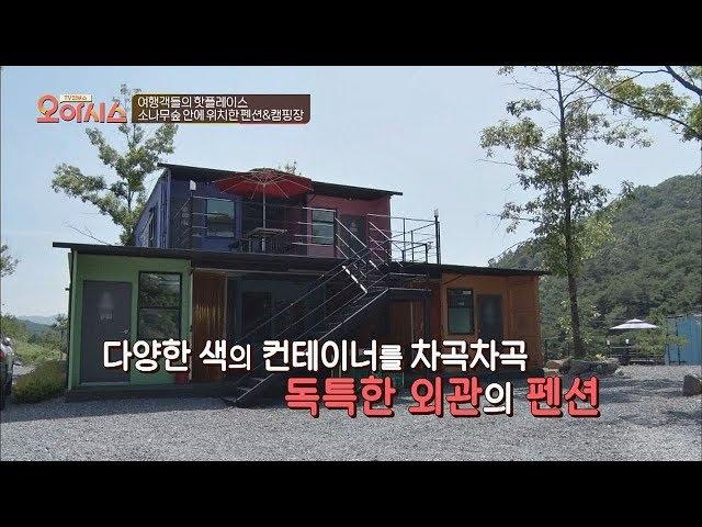 소나무 숲 안에 위치한 '컨테이너 펜션 & 캠핑장' TV정보쇼 오!아시스 27회