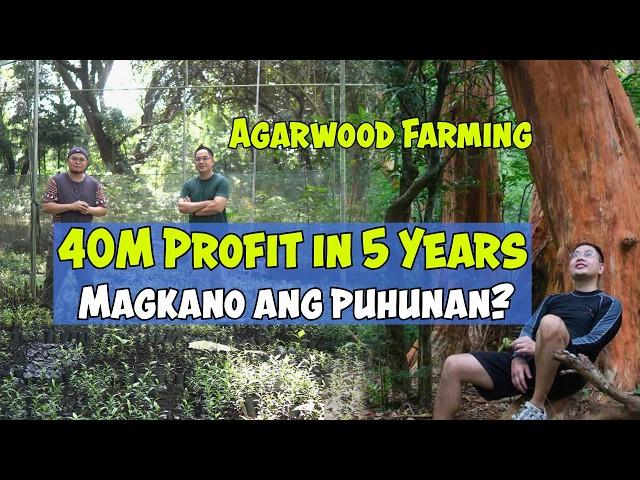 40 Million Profit /Hectare in 5 Years, Agarwood Farming