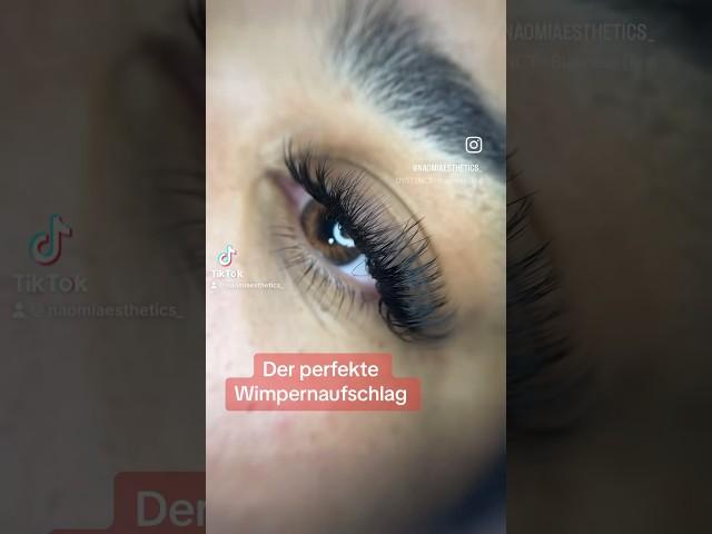 Der perfekte Wimpernaufschlag  #eyelashes #wimpernverlängerung #blackbusiness