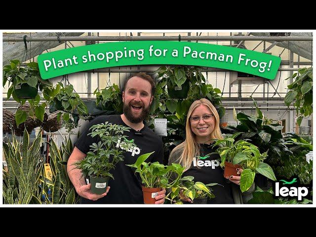 Leap goes plant shopping for a Pacman Frog habitat!