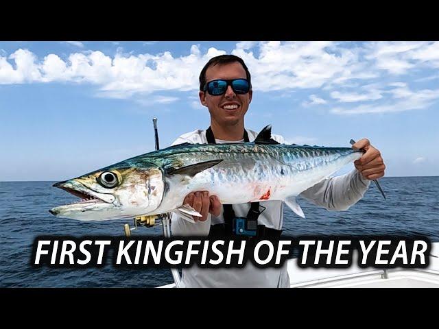 Catching Bait on Sabiki Rigs and Slow Trolling for our First Kingfish of the Year!