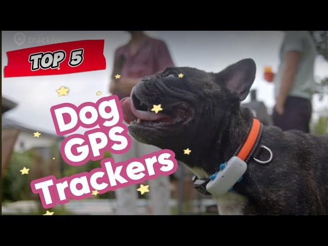 Top 5 Dog GPS Trackers for 2024