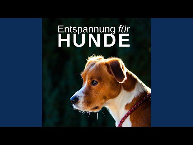 Musik zur Entspannung