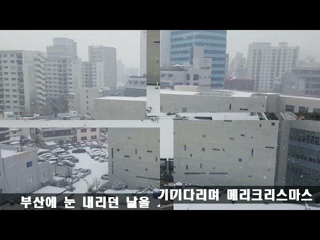 부산에 눈내리던 날을 기다리며 #부산 #눈 #snow #busan #메리크리스마스 #merrychristmas