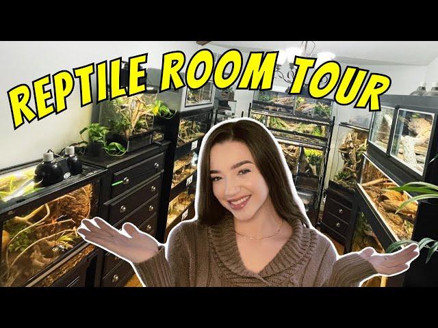 REPTILE ROOM TOUR - Snakes, Lizards, Spiders & More!