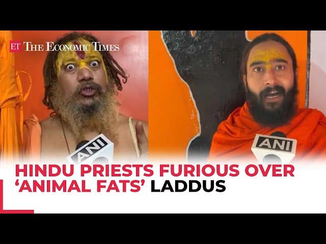 Tirupati Laddu Row: Hindu Priests furious over ‘animal fats’ laddus in Ram Mandir 'Prasad...'