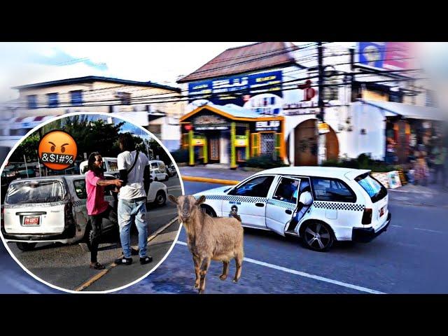 OFFERING TAXI OPERATORS 40K TO HELP THIEF SOME GOATS PRANK POLICE GOT INVOLVED SOFTWARE E-COMMERCE