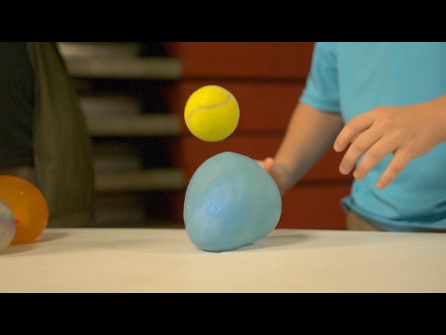 Want to Understand Momentum? Here's An Easy And Fun Experiment To Try At Home!