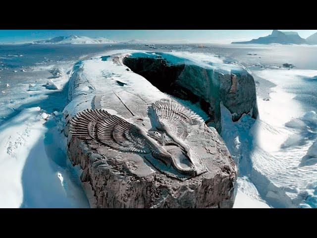 Découverte Incroyable au Groenland : Mystère Révélé dans la Glace !