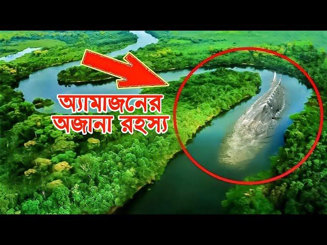আমাজন বনের অজানা তথ্য | Unknown facts of Amazon Rainforest | Bisser Bissoy