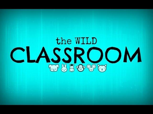 the WILD Classroom:  Phylogeny