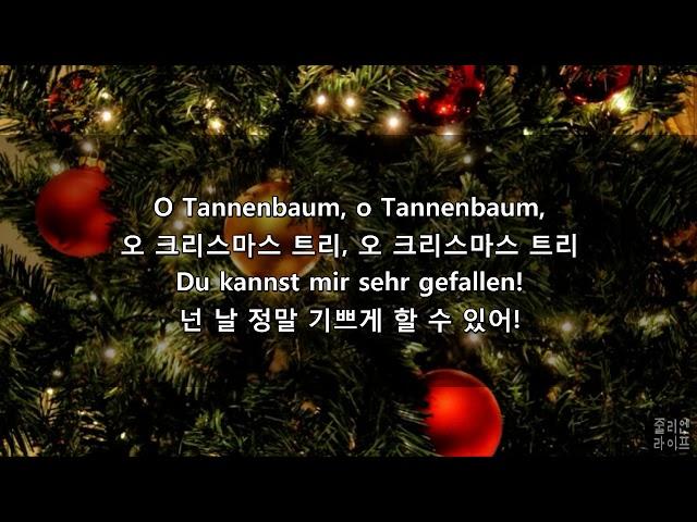 [독일어 가사해석] O Tannenbaum! (독일 성탄절노래, 소나무야 원곡)