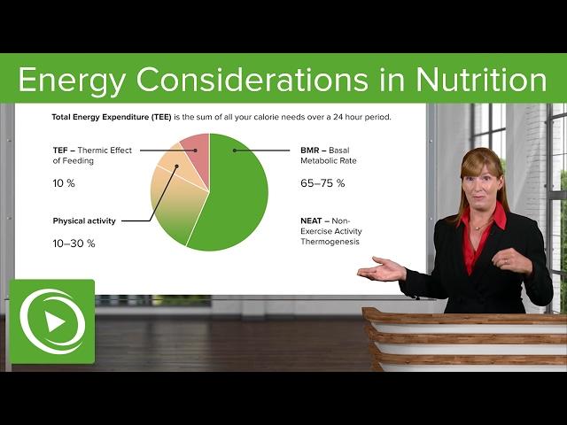 Energy Considerations in Nutrition: BMR, RMR & Physical Activity – Nutrition | Lecturio