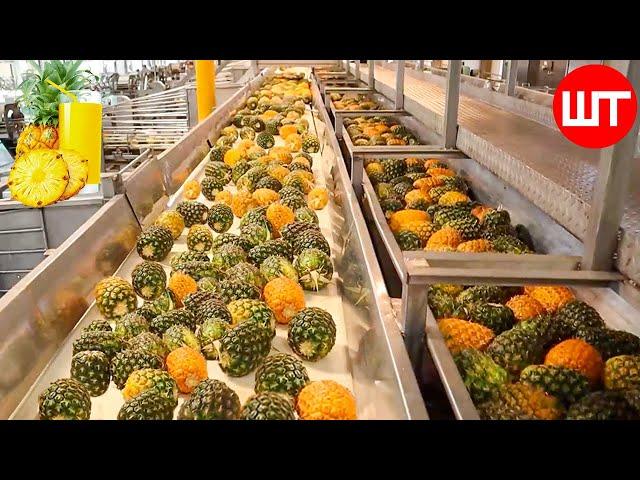 How Pineapple Juice Is Made In Factory | Modern Fruit Juice Making Technology | Food Factory