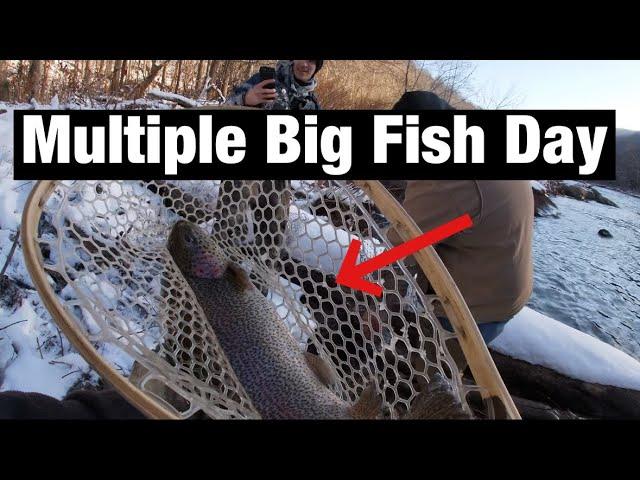 So many GIANT Trout in this Crystal Clear West Virginia River! (West Virginia Trout Fishing)