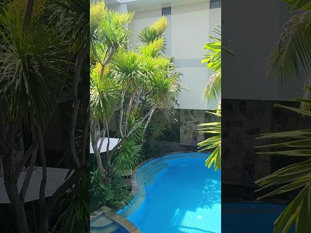 Отель Manggar Indonesia Hotel. #бали #отдых #отель #hotel #bali  #beautiful #relaxing