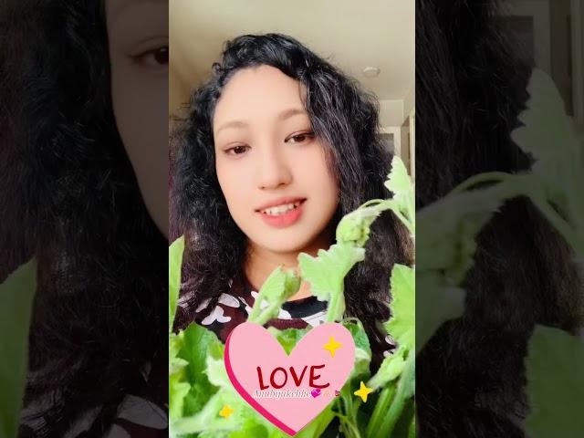 Pumpkin  Ko munta lover koko huncha guys Mero ta favorite ho la Nepali vegetable  sabji ho