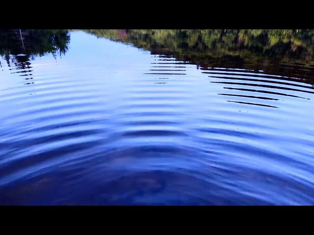 Constrictive and Destructive Interference Wave Patterns of Ripples on a Calm Lake