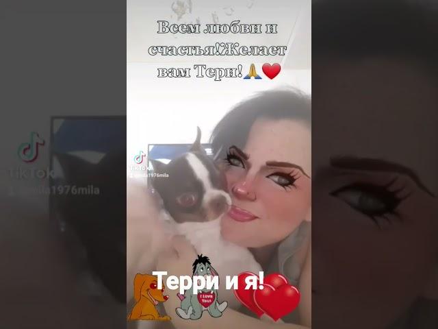 Терри и я!Мой умный чихуашка!