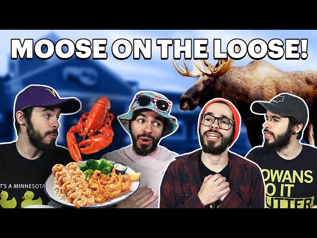 Table News: Moose on the Loose!