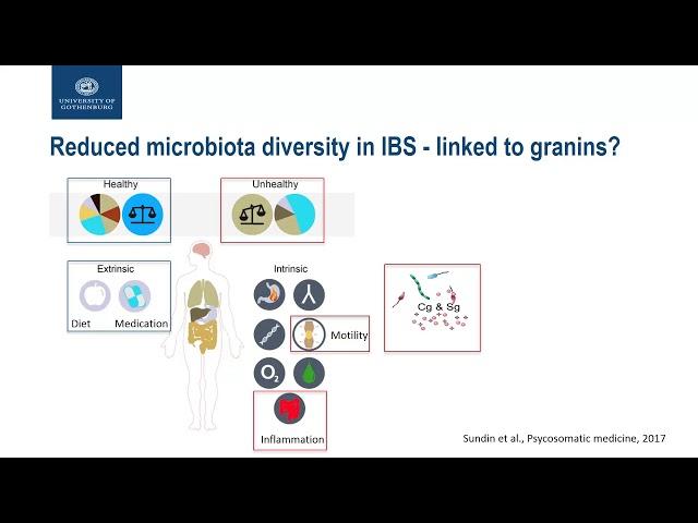 Biomarkers in irritable bowel syndrome by Johanna Sundin