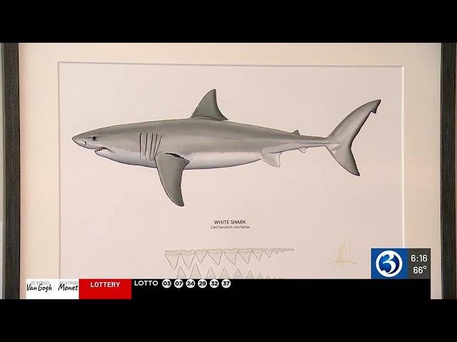 Basking shark seen in Block Island waters