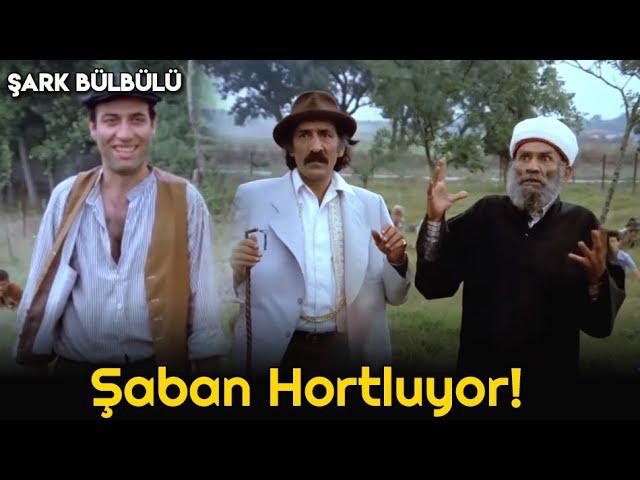 Şark Bülbülü  | Şaban, Zülfo Ağadan İntikamını Alıyor