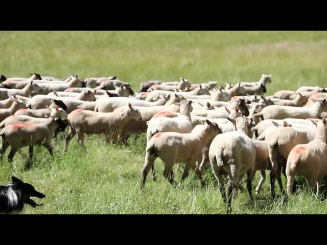 On A Northern Farm - The Perennial Plate Episode 66