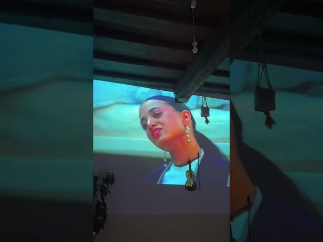 süss wie zucker sind sie doch #musikvideo #powerpointpresentation #shorts