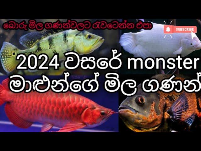 2024 monster fish price sri lanka | 2024 monster මාලුන්ගෙ අලුත් මිල ගණන්..!! ||sldog&fish