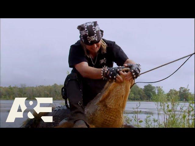 Billy the Exterminator: Billy Battles Alligators FULL EPISODE Marathon | A&E