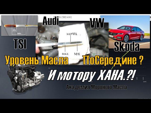 Skoda: Уровень Масла ПоСередине? Чем Это Опасно Для ДВС. (2021)