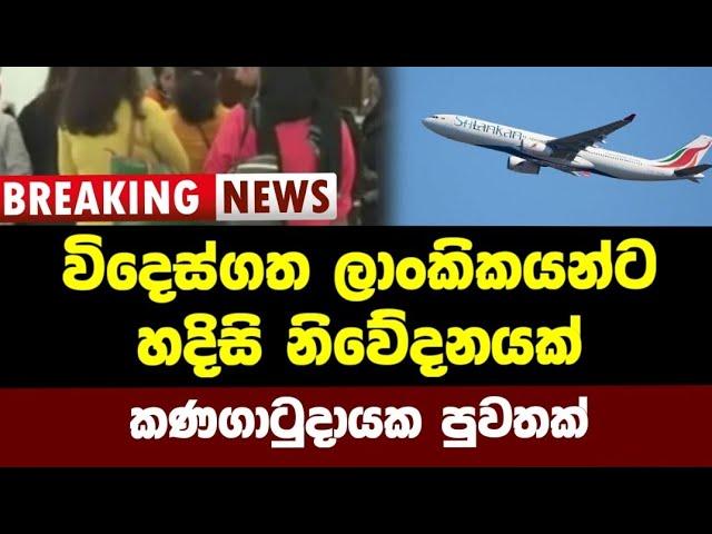 AIRPORT NEWS | Real news special update foreign employees