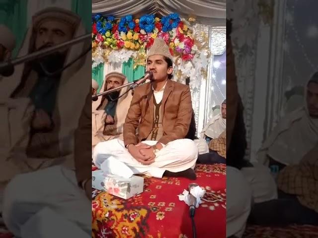 Naqabat Shahzad Basheer Qamar Qadri