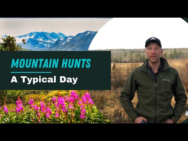 A Typical Mountain Hunting Day With Goldenbear Outfitting