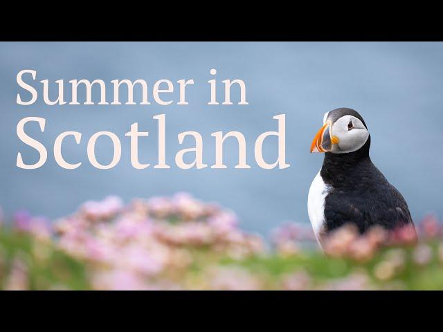 Summer In Scotland