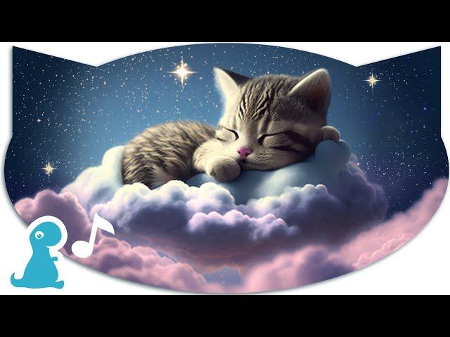 LITTLE KITTEN ADVENTURE CARTOON  - TWINKLE TWINKLE LITTLE STAR NURSERY RHYME - KIDS BEDTIME SONGS