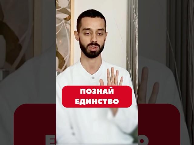 Познай единство.  Анар Дримс