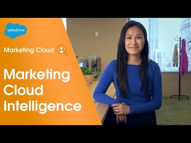 Salesforce Marketing Cloud Intelligence Demo