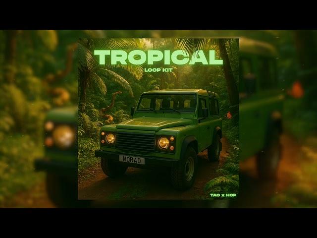 [FREE] "TROPICAL" - SUMMER LOOP KIT (Afro, Guitar, Morad, Deep House)