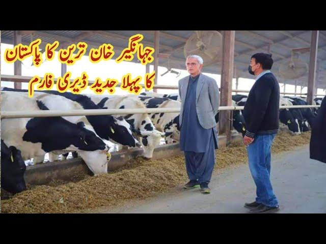 Jahangir Khan Tareen Dairy Farm ll JK Dairies Pakistan First Modern Dairy Farm #imrankhan  #pti