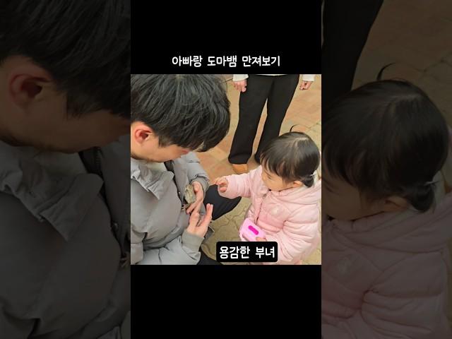 용감한 부녀 #아빠사랑해 #18개월아기 #아빠와딸 #도마뱀