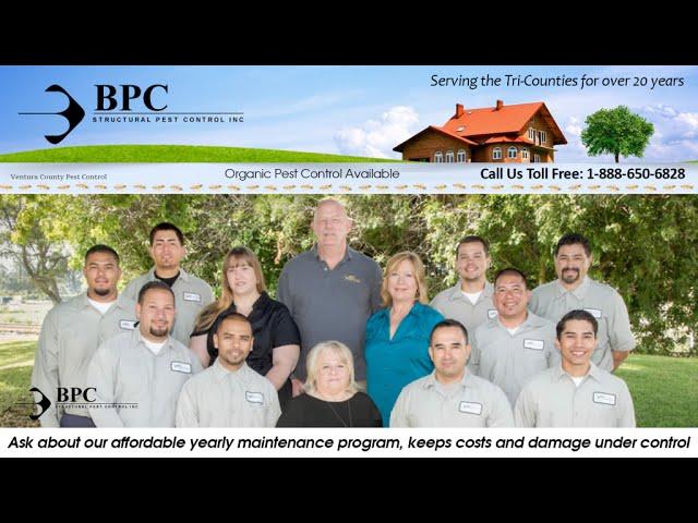 BPC Structural Pest Control