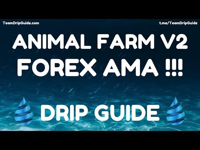 Drip Guide Live - AMA with Forex Shark!!!  Piggy Bank V2