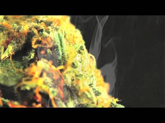 Happy 420 - Official 2012 Weed Anthem - Higher