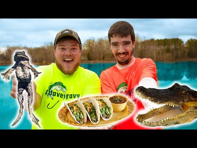 Frog VS Alligator Taco Challenge